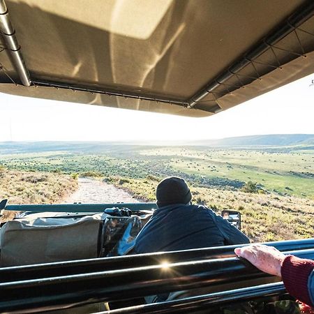 ลิวเวนบอช คันทรี เฮาส์ อมาคาลา เกม รีเสิร์ฟ Guest House Amakhala Game Reserve ภายนอก รูปภาพ