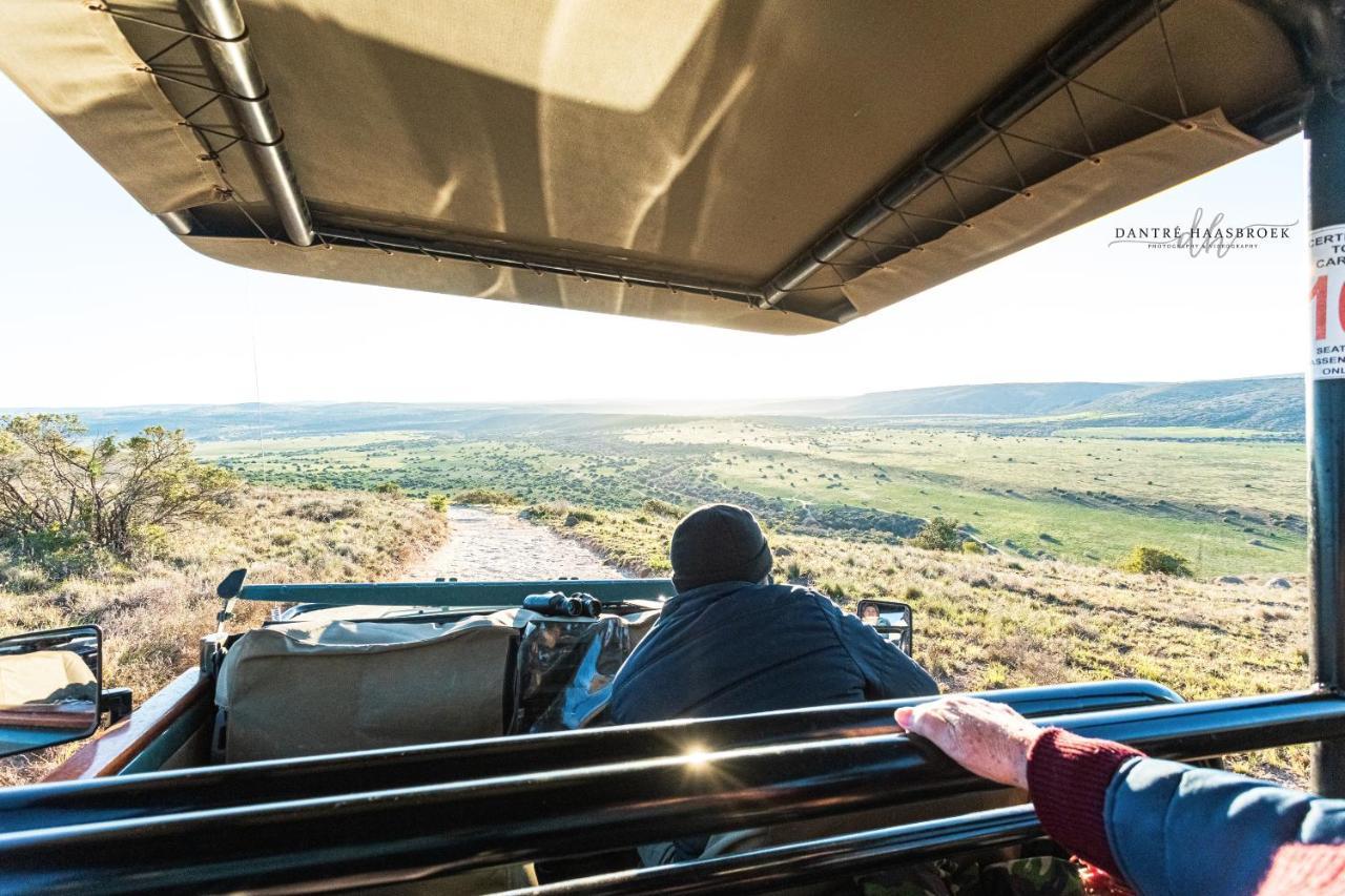 ลิวเวนบอช คันทรี เฮาส์ อมาคาลา เกม รีเสิร์ฟ Guest House Amakhala Game Reserve ภายนอก รูปภาพ