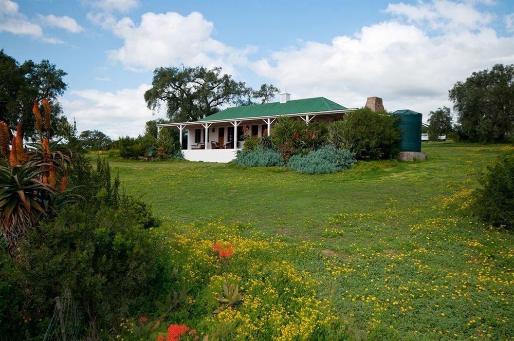 ลิวเวนบอช คันทรี เฮาส์ อมาคาลา เกม รีเสิร์ฟ Guest House Amakhala Game Reserve ภายนอก รูปภาพ