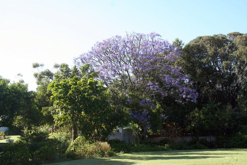 ลิวเวนบอช คันทรี เฮาส์ อมาคาลา เกม รีเสิร์ฟ Guest House Amakhala Game Reserve ภายนอก รูปภาพ