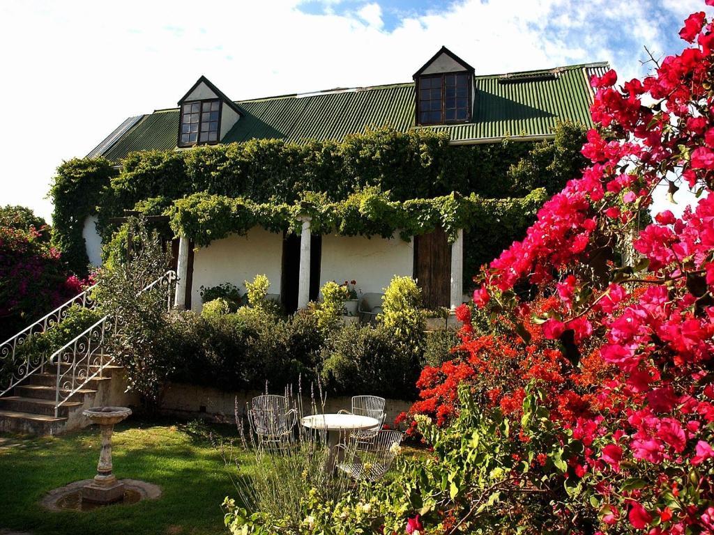 ลิวเวนบอช คันทรี เฮาส์ อมาคาลา เกม รีเสิร์ฟ Guest House Amakhala Game Reserve ภายนอก รูปภาพ