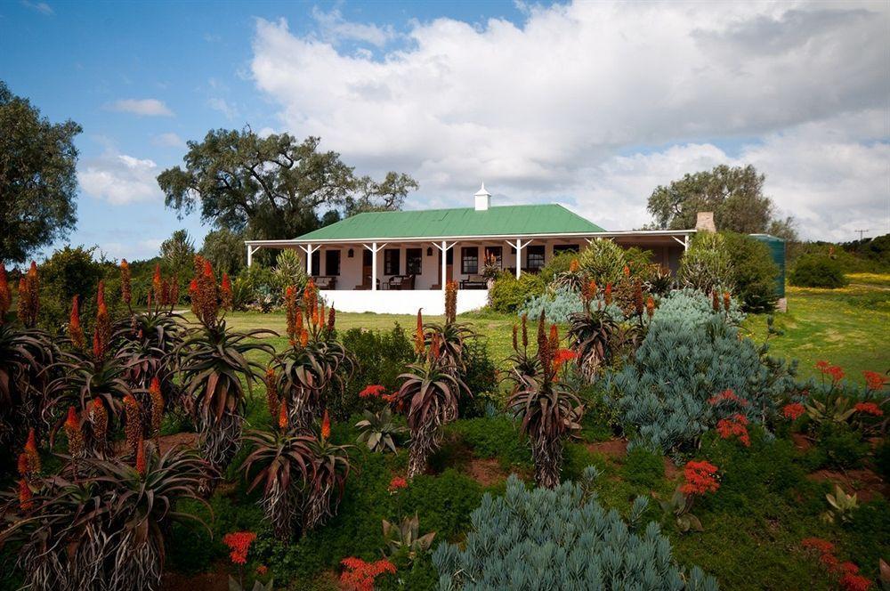 ลิวเวนบอช คันทรี เฮาส์ อมาคาลา เกม รีเสิร์ฟ Guest House Amakhala Game Reserve ภายนอก รูปภาพ