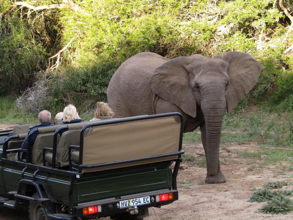 ลิวเวนบอช คันทรี เฮาส์ อมาคาลา เกม รีเสิร์ฟ Guest House Amakhala Game Reserve ภายนอก รูปภาพ
