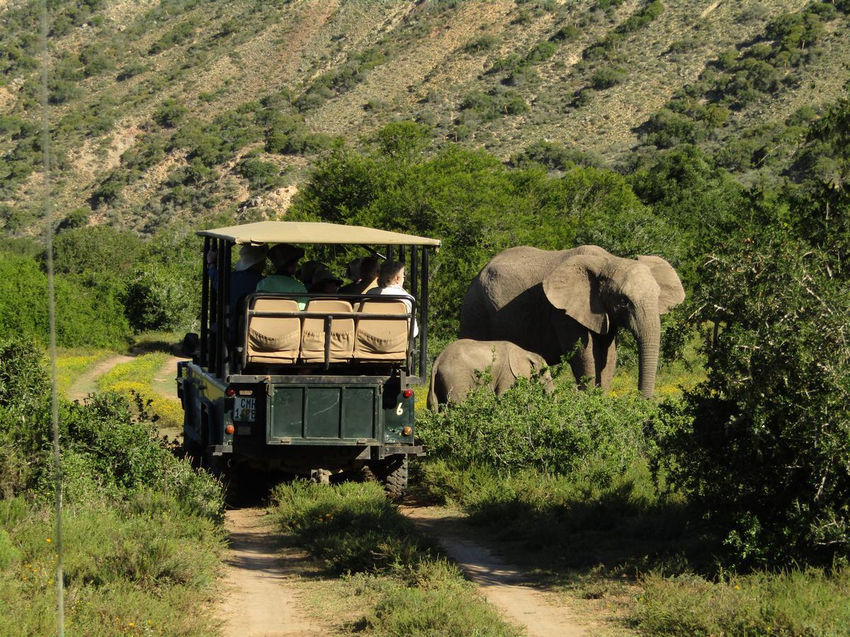 ลิวเวนบอช คันทรี เฮาส์ อมาคาลา เกม รีเสิร์ฟ Guest House Amakhala Game Reserve ภายนอก รูปภาพ