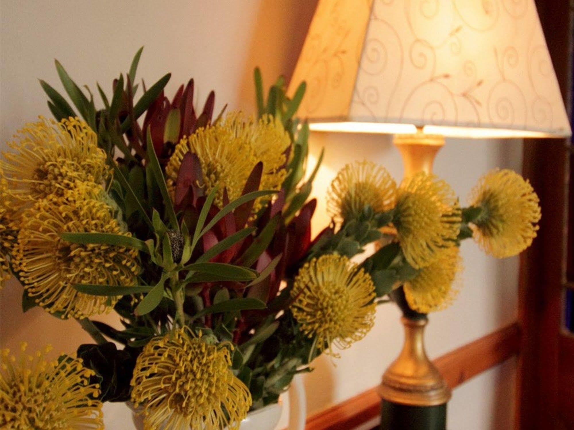 ลิวเวนบอช คันทรี เฮาส์ อมาคาลา เกม รีเสิร์ฟ Guest House Amakhala Game Reserve ภายนอก รูปภาพ