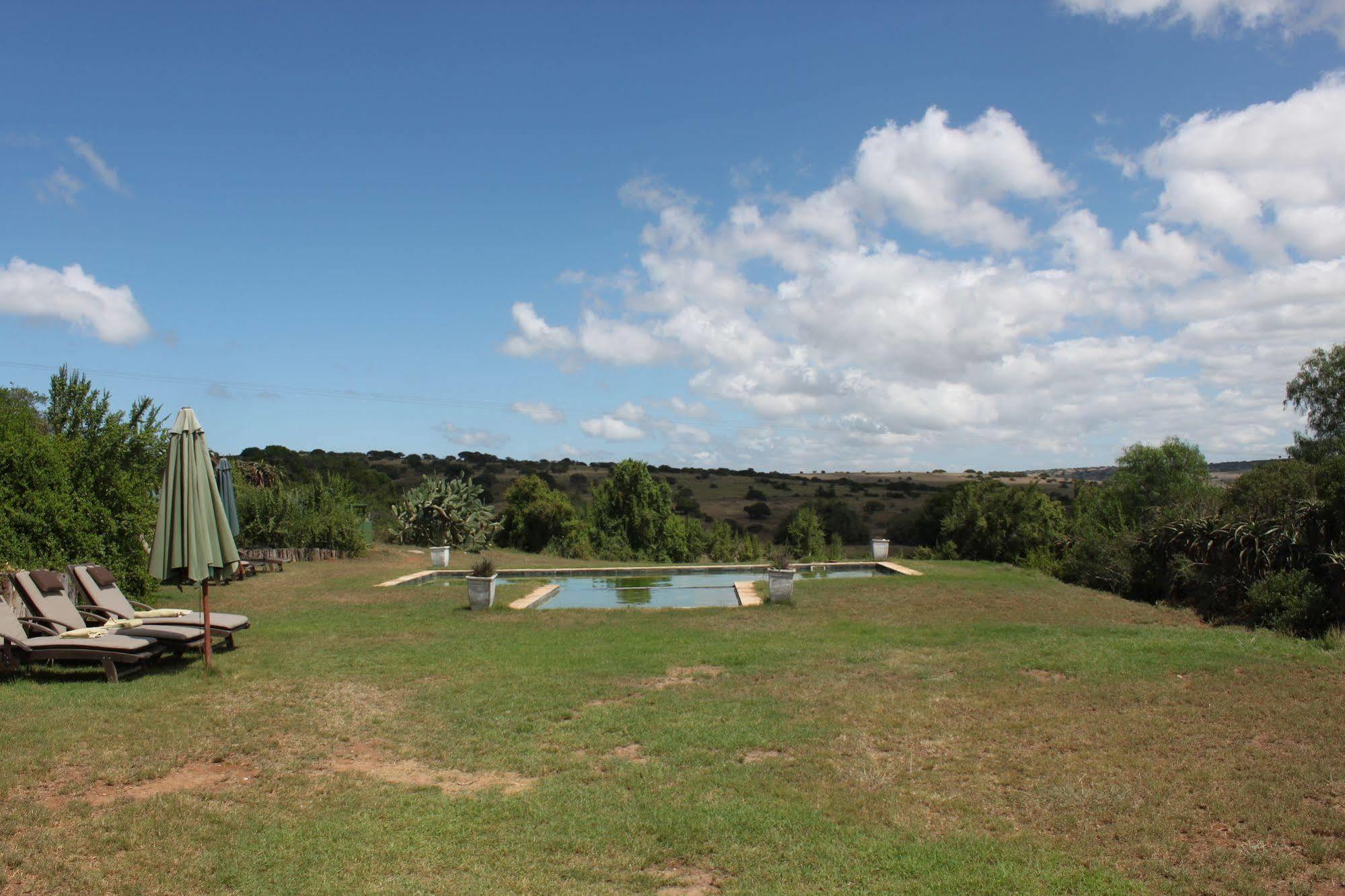 ลิวเวนบอช คันทรี เฮาส์ อมาคาลา เกม รีเสิร์ฟ Guest House Amakhala Game Reserve ภายนอก รูปภาพ