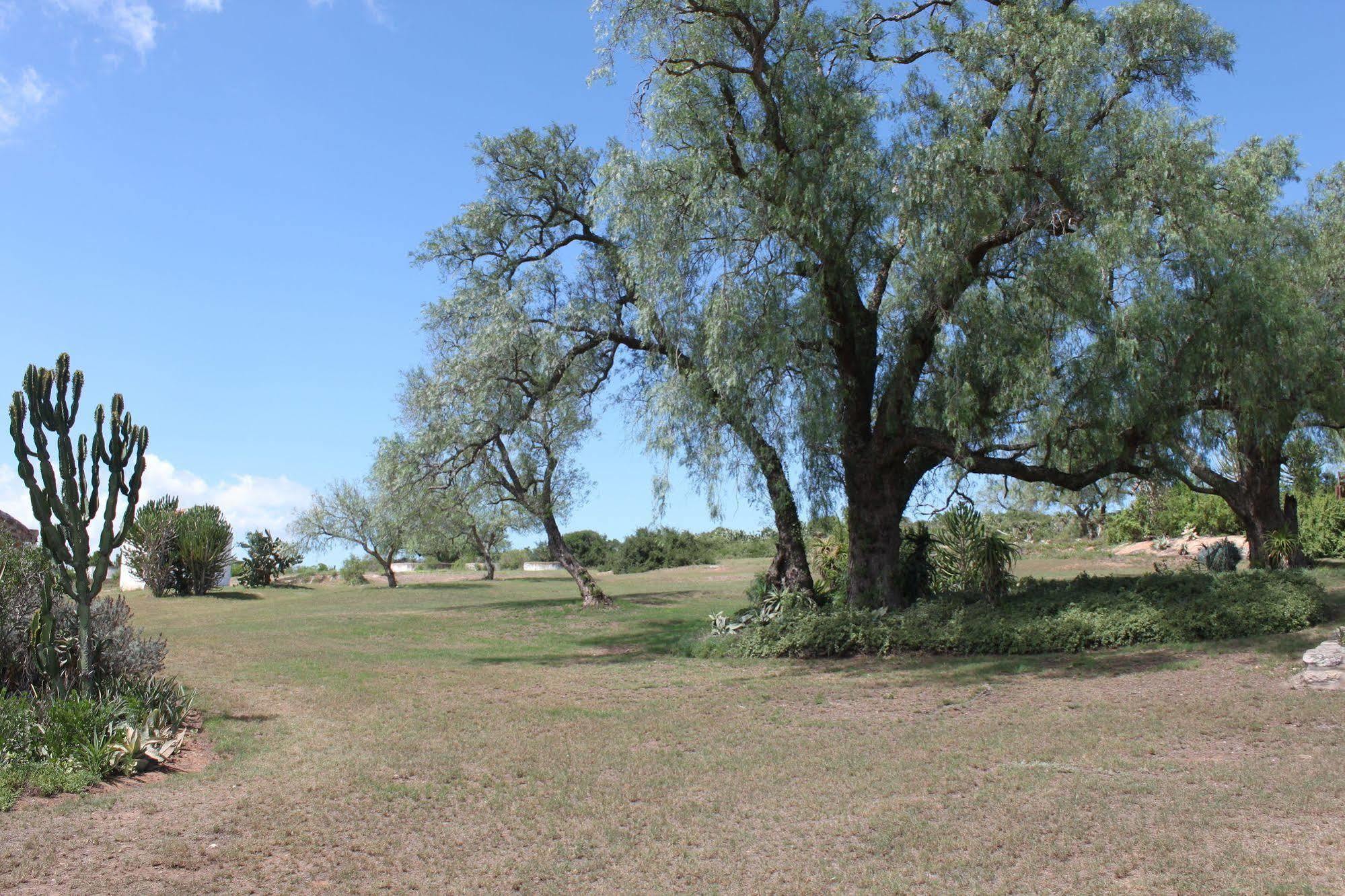 ลิวเวนบอช คันทรี เฮาส์ อมาคาลา เกม รีเสิร์ฟ Guest House Amakhala Game Reserve ภายนอก รูปภาพ