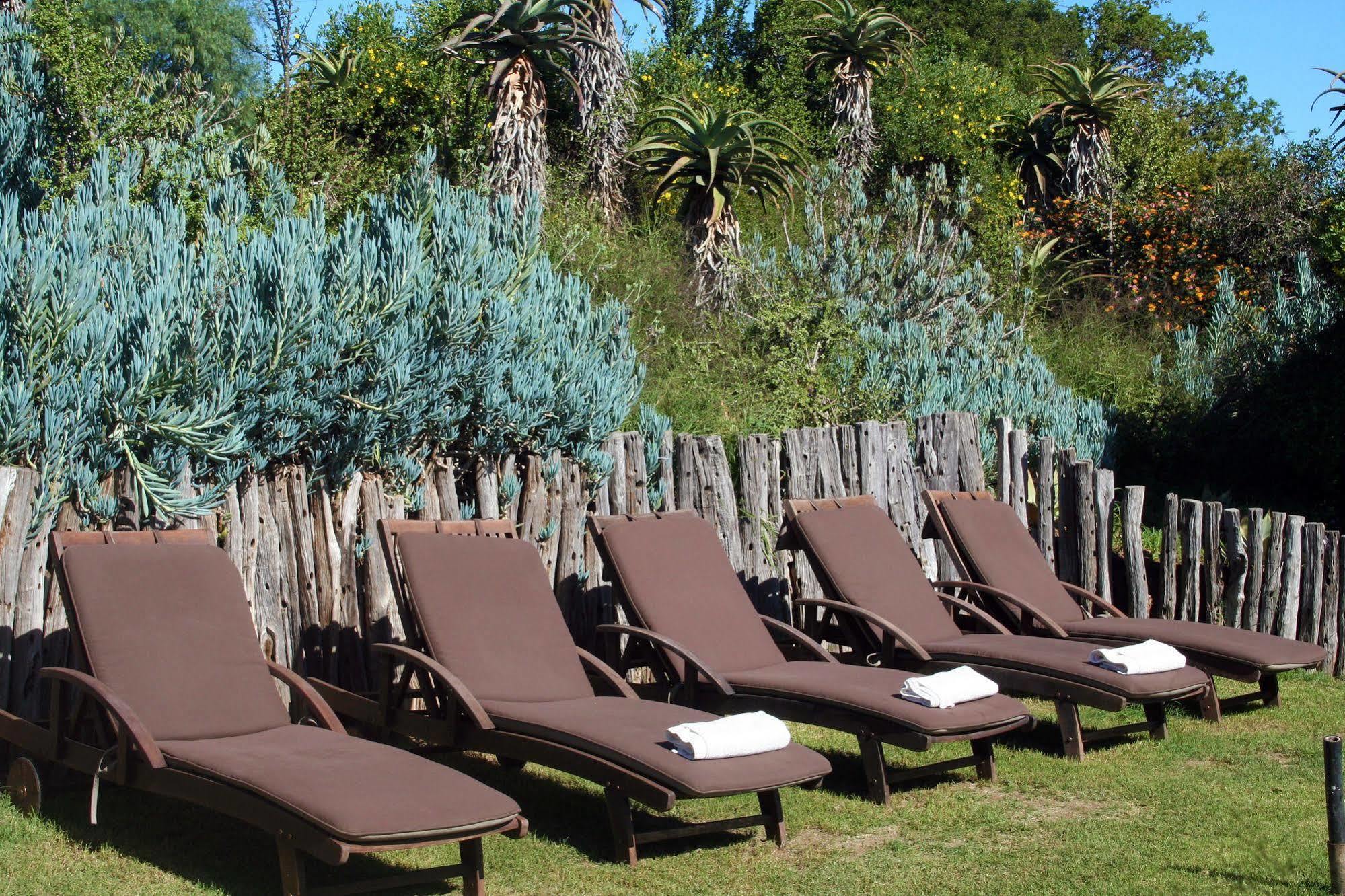 ลิวเวนบอช คันทรี เฮาส์ อมาคาลา เกม รีเสิร์ฟ Guest House Amakhala Game Reserve ภายนอก รูปภาพ
